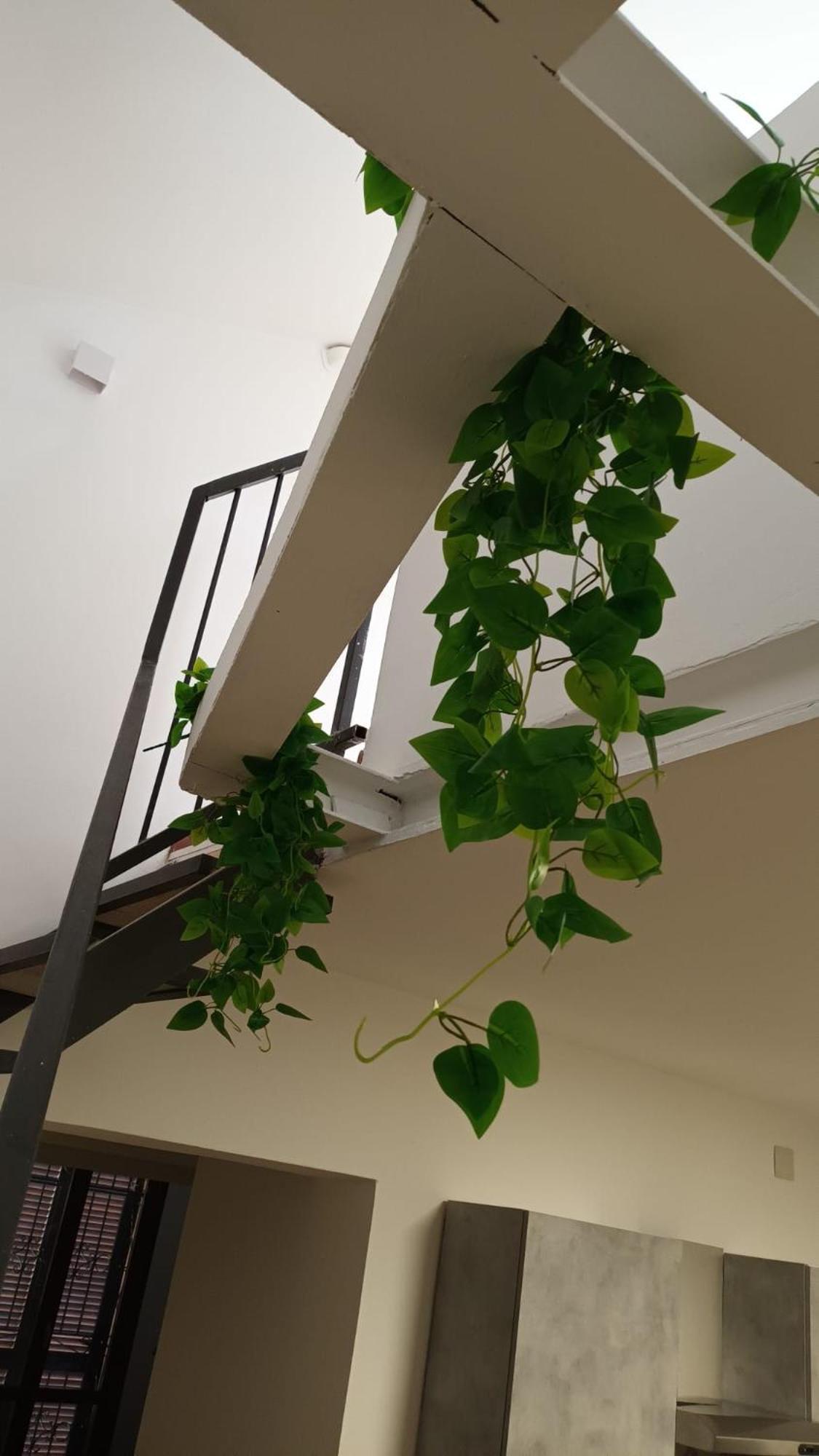 Casa N 1 Con Parcheggio Privato E Colonnina Ricarica Leilighet Livorno Eksteriør bilde